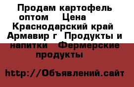 Продам картофель оптом. › Цена ­ 15 - Краснодарский край, Армавир г. Продукты и напитки » Фермерские продукты   